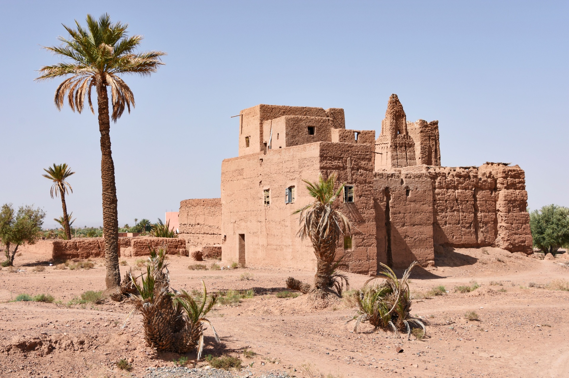Kasbah de terre entourée de palmiers dans le Sud marocain — image de clôture