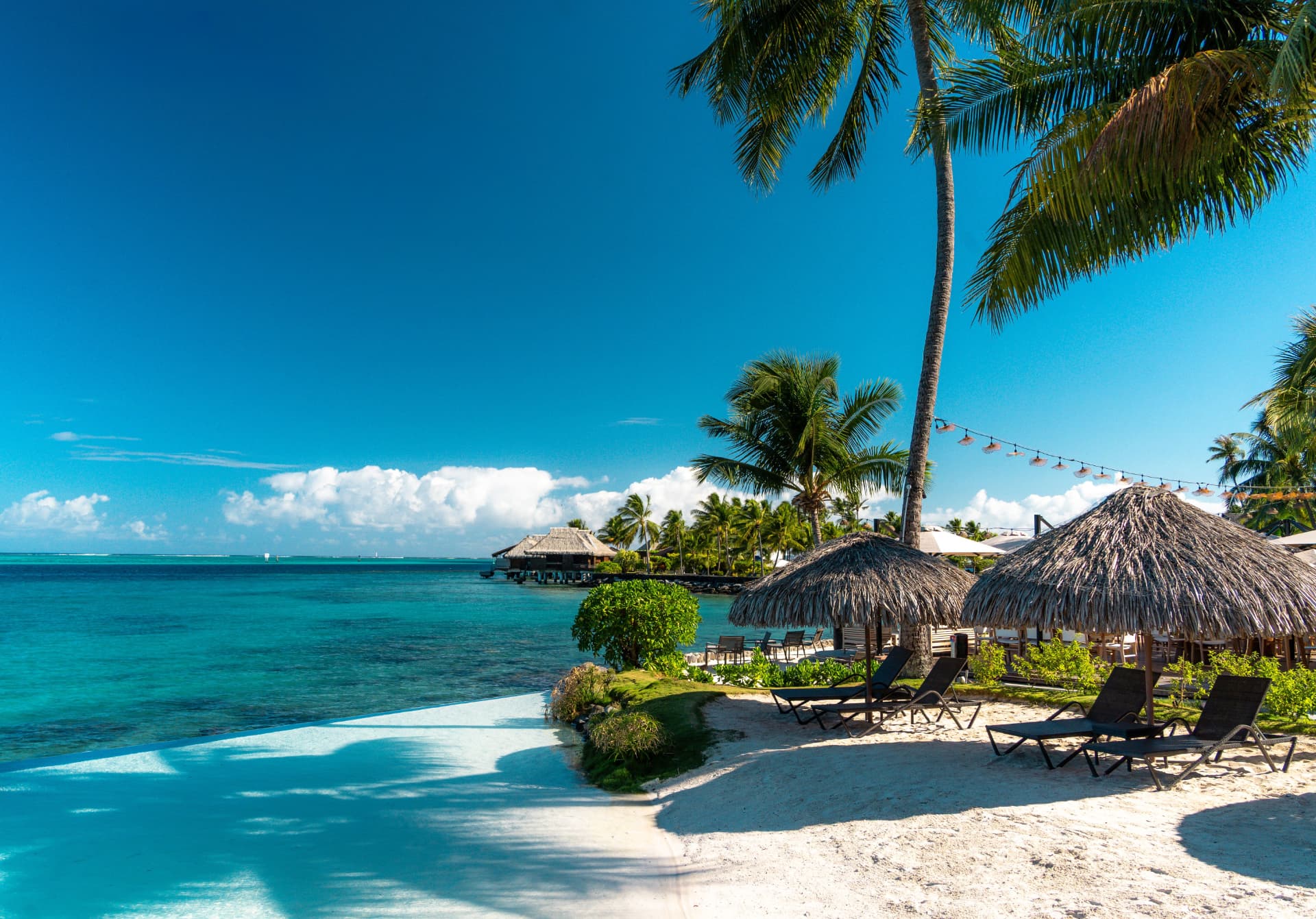 White sand beach, infinity pool and coconut palms facing the turquoise lagoon, French Polynesia