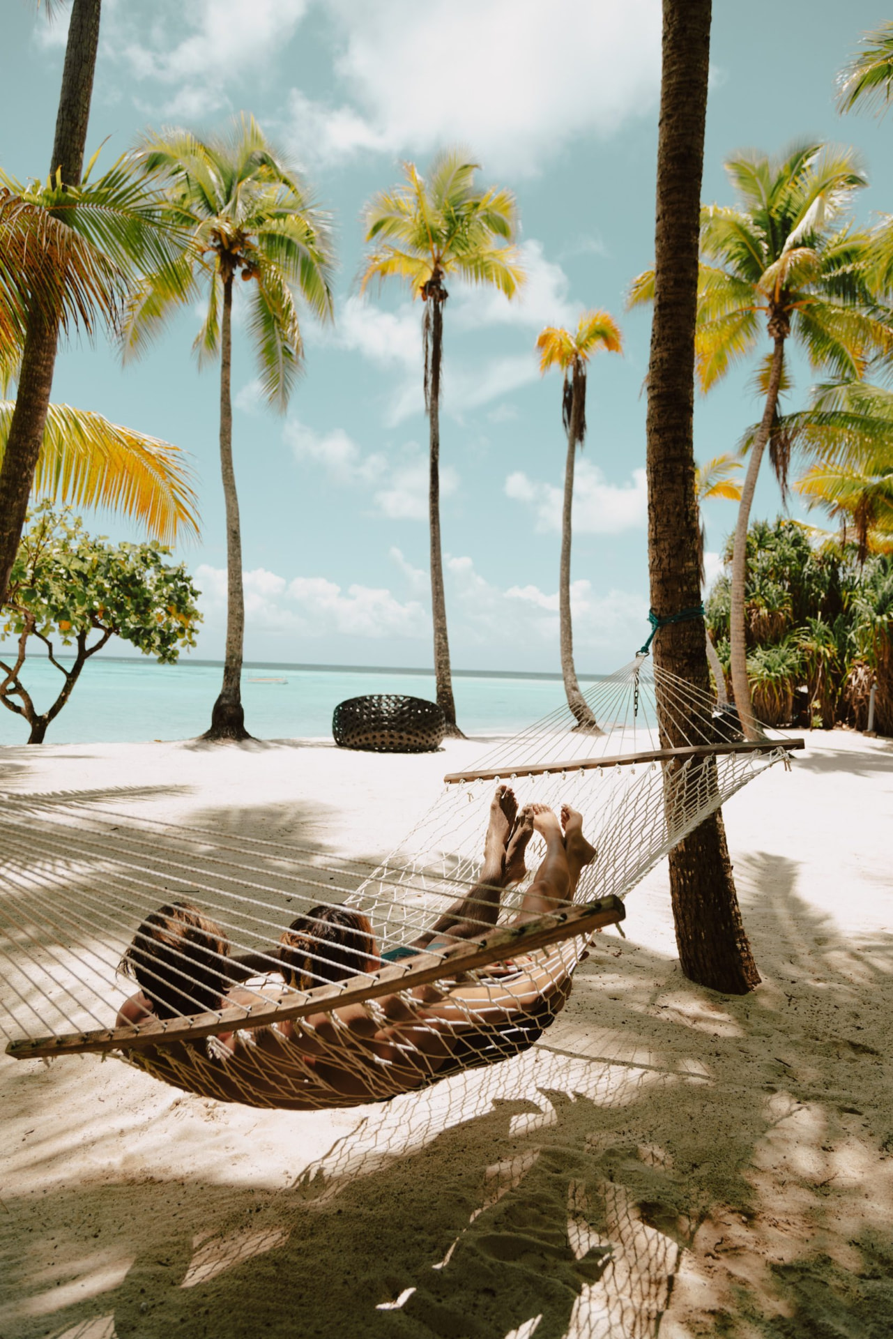 Hamac tendu entre deux cocotiers sur la plage de The Brando