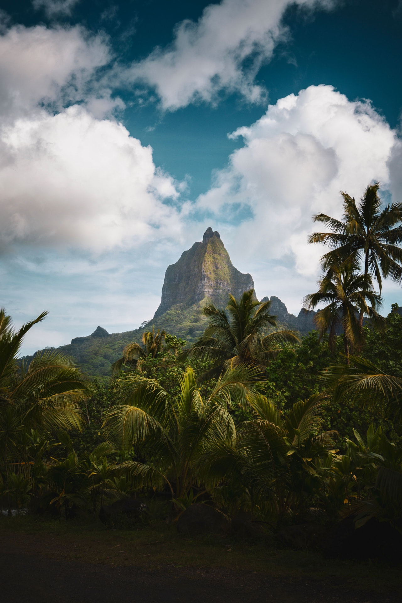 Volcanic peak of Moorea rising above tropical vegetation, French Polynesia