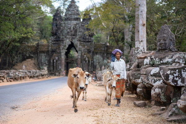 Le Cambodge